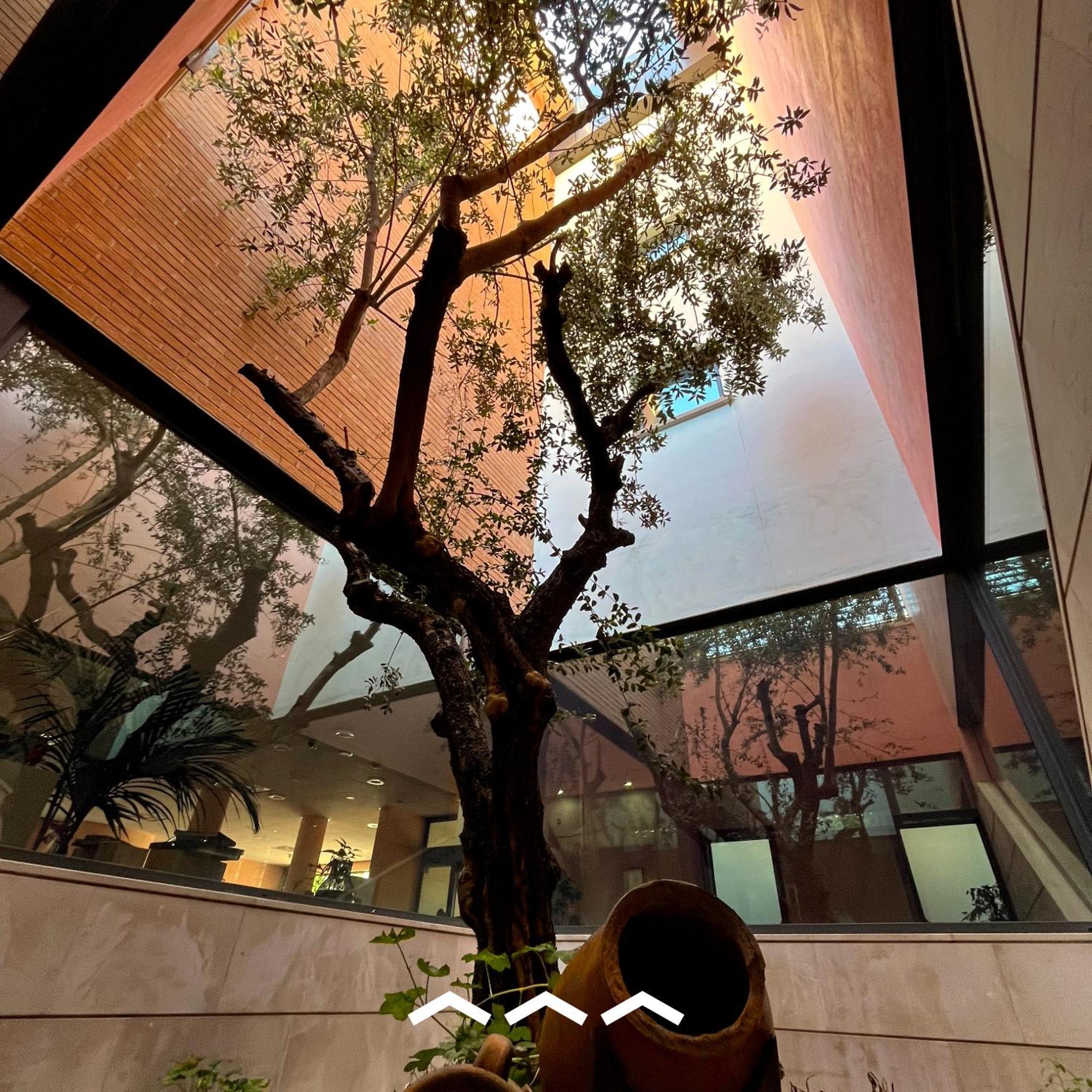 Don Guglielmo Panoramic Hotel & Spa Campobasso Exteriör bild